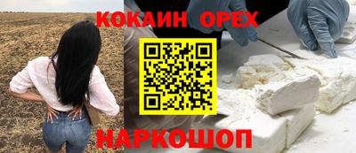 амф Владимир