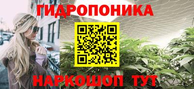 амф Владимир