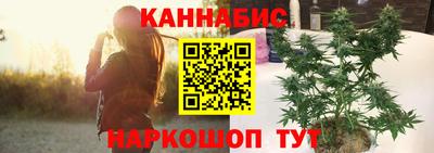 Альфа ПВП Владикавказ