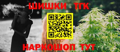 Альфа ПВП Владикавказ