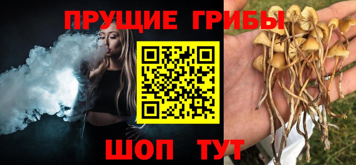 купить наркоту  Вход с VPN  Бор  Галлюциногенные грибы GOLDEN TEACHER 
